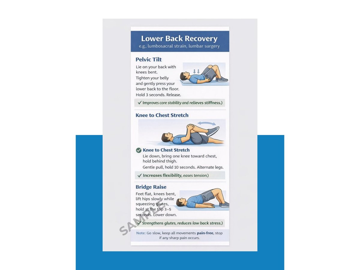 Lower back recovery exercise guide showing three stretches: pelvic tilt, knee to chest stretch, and bridge pose with illustrated instructions